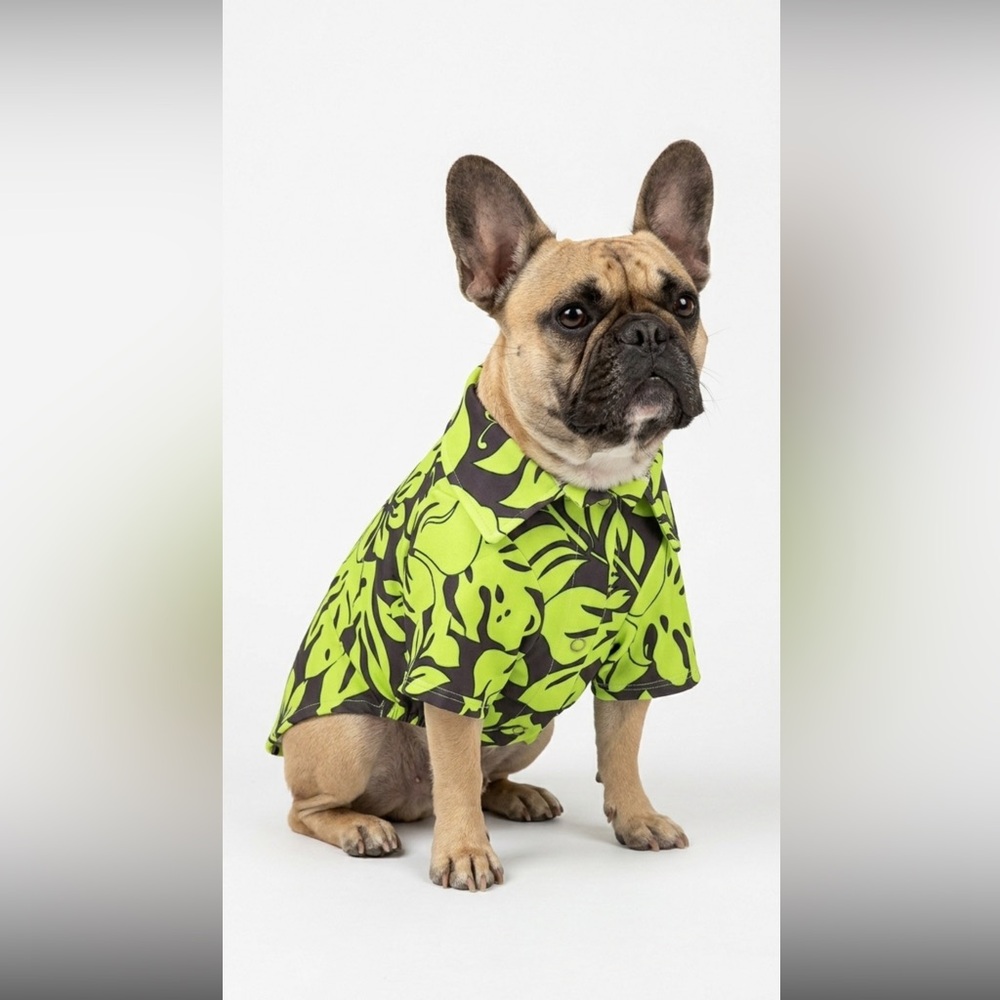 Private Island Green and Black Tropical Dog Shirt size L